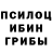 Галлюциногенные грибы MAGIC MUSHROOMS Dimitry Serbin