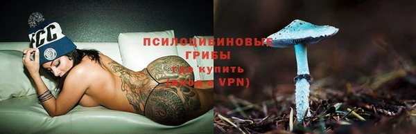 jwh Пересвет