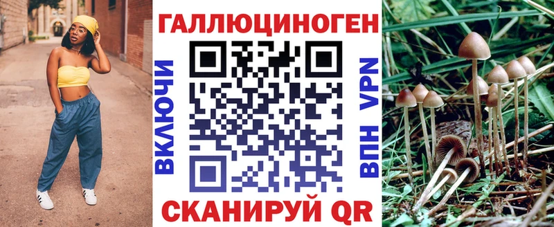Псилоцибиновые грибы Cubensis  Нижнекамск 