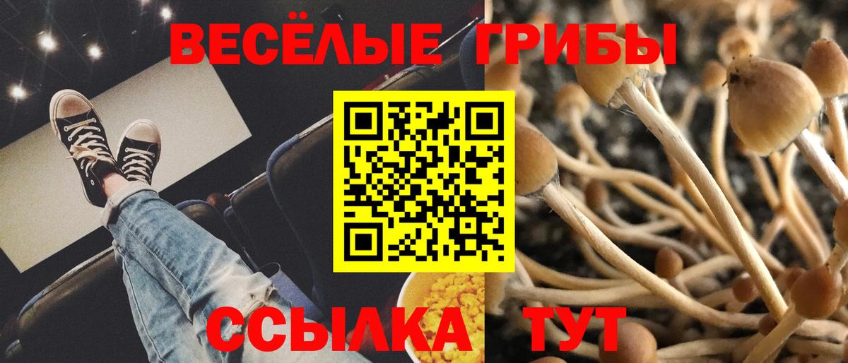 Псилоцибиновые грибы ЛСД  Вход с VPN  Нижнекамск 